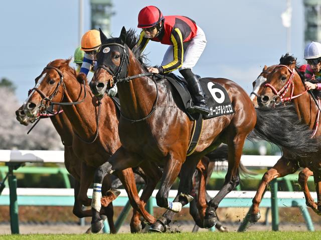 【有力馬動向】関屋記念を目指すレガーロデルシエロ、体に緩さも調整は順調/馬三郎のつぶやき