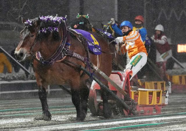 【8.10ばんえい記念】ファン投票中間発表　首位はメムロボブサップ　ただ1頭2000票突破