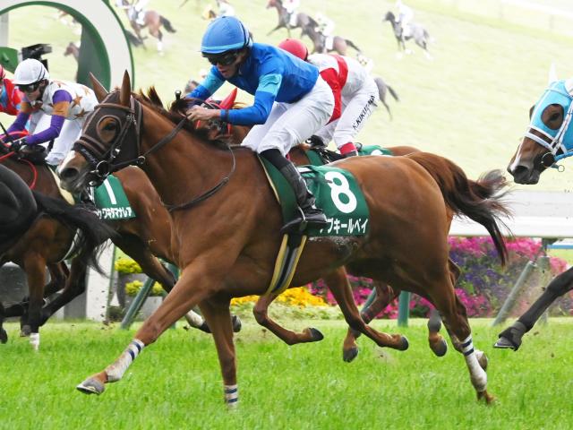 【北九州記念予想】荒れるハンデ戦にも明確な指針あり?! 過去データから探るGIII北九州記念