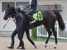 福島5R新馬戦に出走するアランカール(撮影：井内利彰)