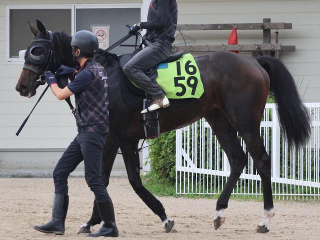 【今日の注目ポイント】福島新馬戦でシンハライトの仔アランカールがデビュー