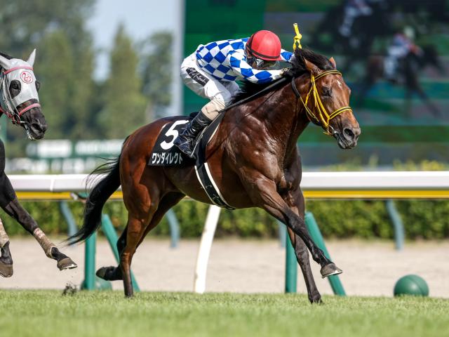 マレーシアCは前走マイル組が狙い 今年は2頭が該当