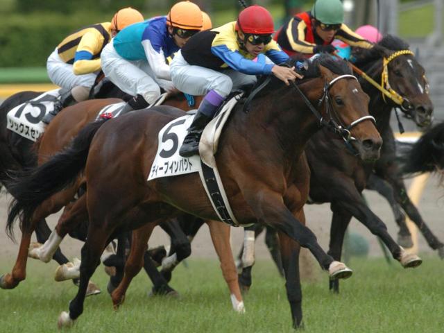 金子真人オーナーがセレクトセールで落札した名馬たち