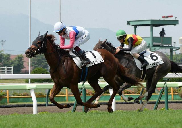 【函館1R・2歳未勝利】トウカイマシェリ2戦目で初勝利　鮫島駿「意識して取り組んできたことが結果に」