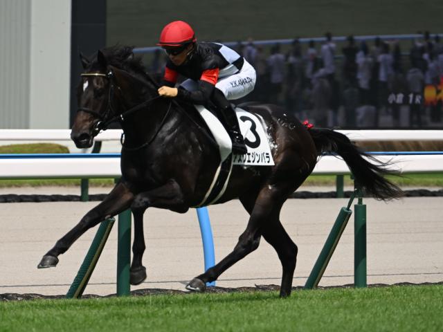 【小倉1R】単勝1.1倍のアスクエジンバラが完勝 3連単220円はJRA史上最低配当