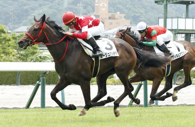 【福島3R・2歳未勝利】2番人気のルージュカルデアがデビュー2戦目で初V　加藤征調教師「気持ちが乗って」