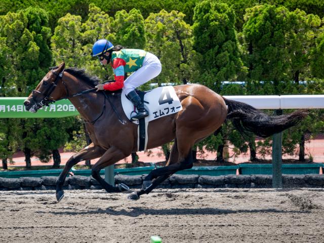 【函館5R新馬戦結果】エムフォーが大差でレコードV フォーウィールドライブ産駒