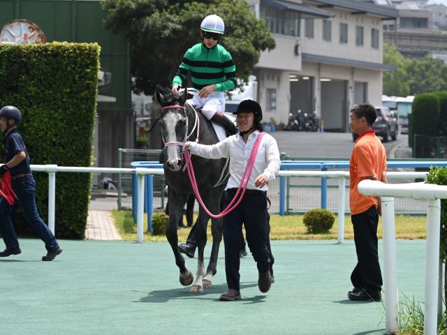 【小倉5R新馬戦結果】トーセンラー産駒キャンディードが初陣飾る