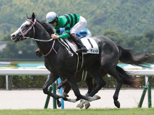 【小倉5R新馬戦】2番人気キャンディードがデビュー勝ち　松山「能力で勝ち切ってくれました」