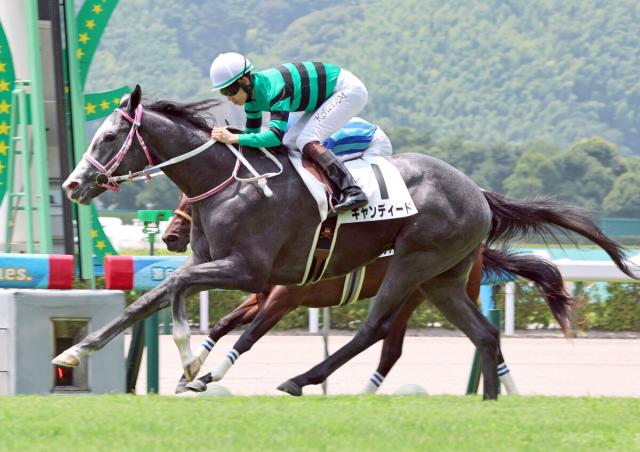 【小倉5R・2歳新馬】トーセンラー産駒のキャンディードがデビュー勝ち　松山弘平騎手「能力で勝ち切ってくれた」