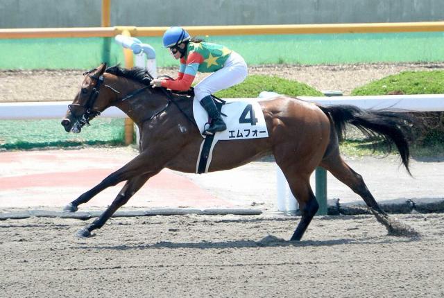 【函館5R新馬戦】1番人気エムフォーが圧巻の走りでレコードV　小林美「いい馬。その言葉ひとつです」