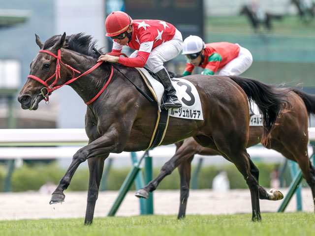 【2歳未勝利福島3Rレース後コメント】ルージュカルデア横山典弘騎手ら
