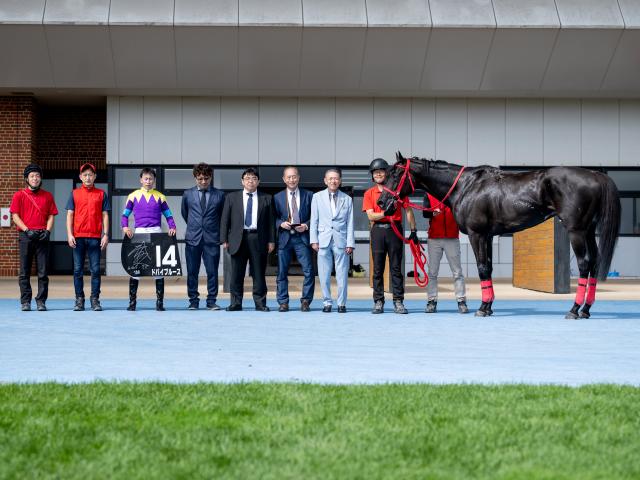 【竜飛崎特別レース後コメント】ドバイブルース横山武史騎手ら