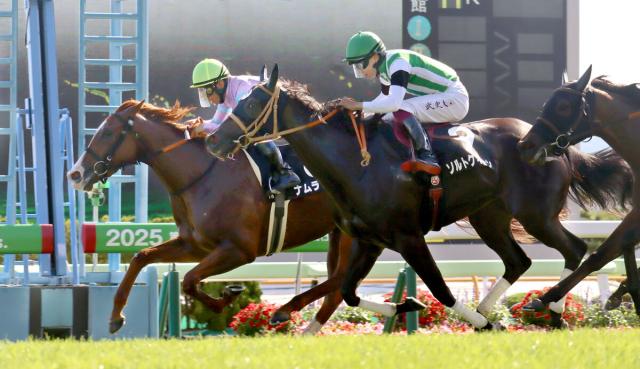 【函館11R・TVh杯】ナムラクレアの妹ナムラクララがオープン入り　浜中俊騎手「1200メートルが合ってますね」