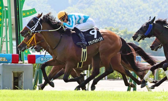 【小倉11R・マレーシアC】最低人気のグランアルティスタがV　障害練習「効果あった」寺島調教師が評価