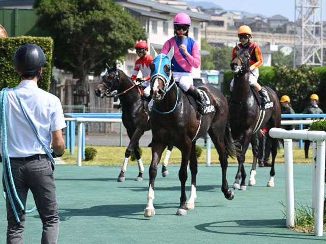 【TAインディア賞レース後コメント】メイショウズイウン松山弘平騎手ら