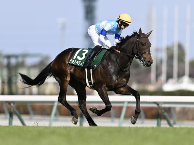 【北九州記念前日オッズ】クラスペディアが6.7倍で1番人気