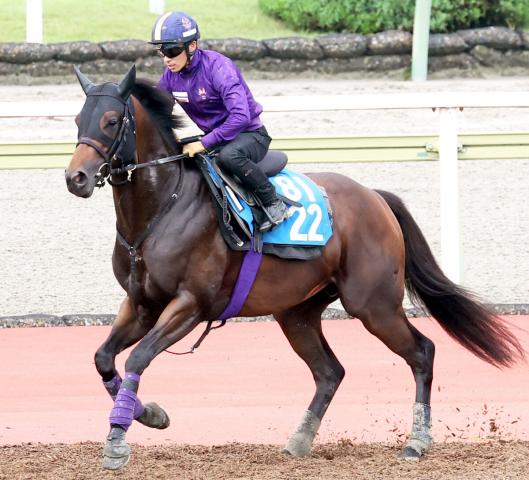 【北九州記念】単勝1ケタ台が6頭で1番人気でも6・7倍の大混戦　馬連&3連単は1番人気馬以外からが売れ筋