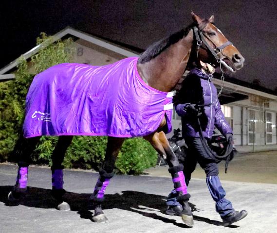 ドウデュースのお披露目会は今夏の開催見送りが決定　キーファーズがSNSで発表