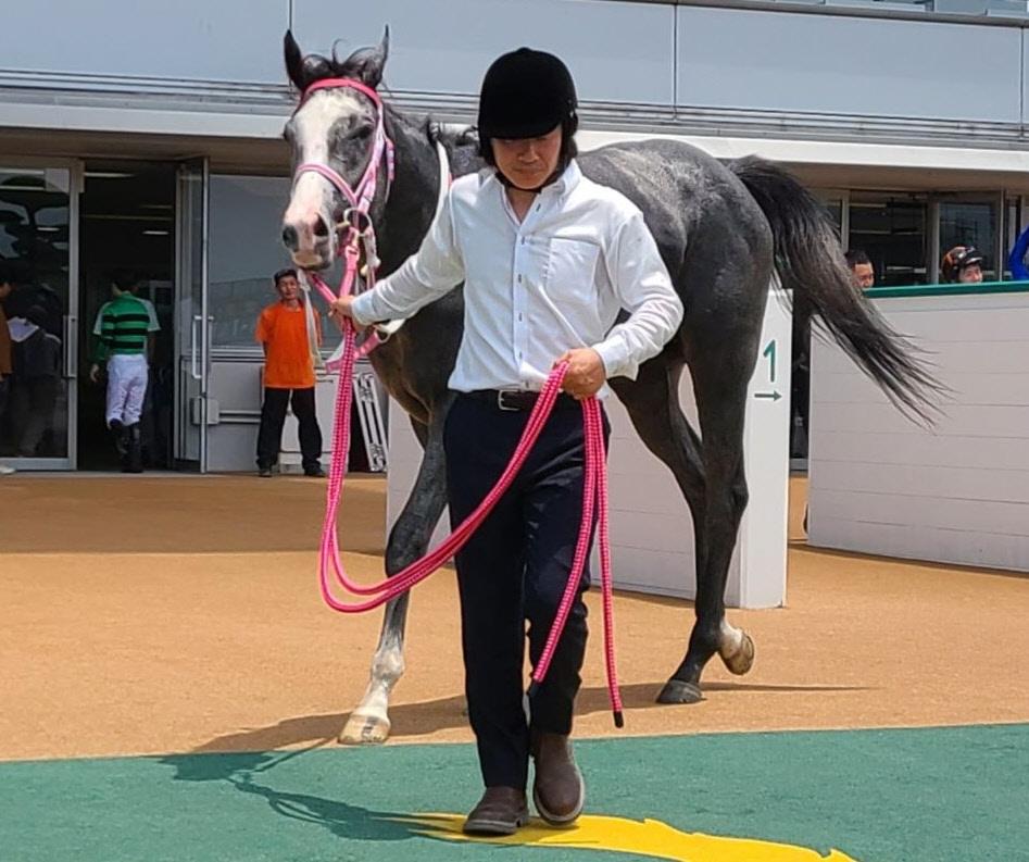 【新馬戦】キャンディード　男の意地見せ牝馬７頭圧倒　松山「能力で勝ち切ってくれました。強かった」