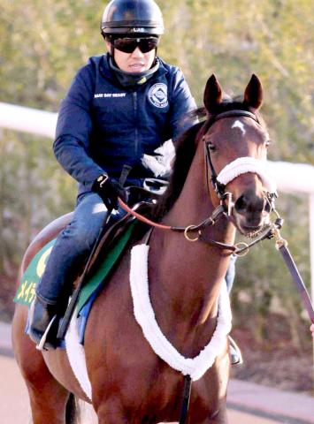 【ベルモントオークス】昨年阪神JF出走のメイデイレディは4着　ニューヨーク3歳牝馬芝3冠の初戦　フィオンがV