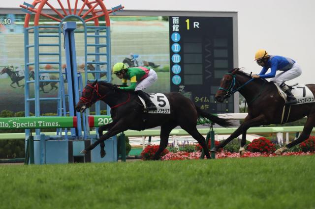 【函館1R・2歳未勝利】3番人気タガノアラリアが差し切る　斎藤新騎手「攻め通りならあっさりかな、と」
