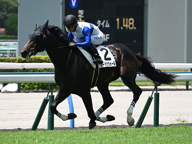 【小倉5R新馬戦結果】エピファネイア産駒ロードラヴォールが5馬身差で圧勝