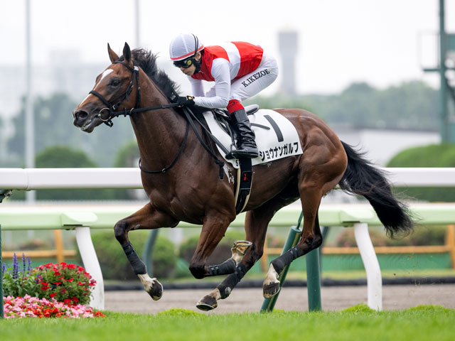 【函館5R新馬戦結果】ショウナンガルフが7馬身差V ハービンジャー産駒の2億円ホース