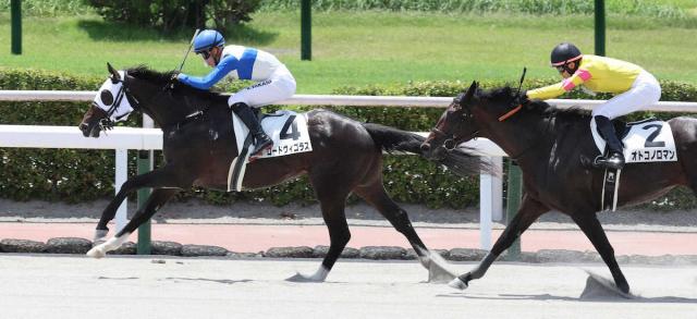【小倉6R新馬戦】3番人気ロードヴィゴラス勝利　高杉「しっかり走ってくれました」
