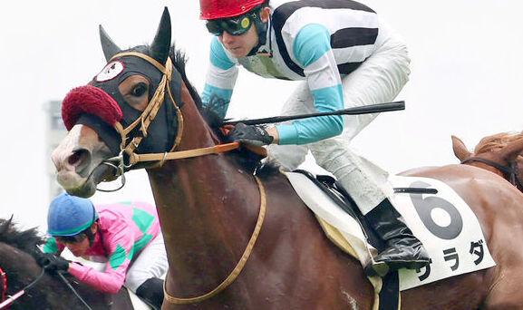 珍名馬サラダは「記念日」に待望の勝利ならず…名付けた本人は馬券ゲットで「これからも応援する」