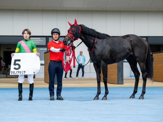 【2歳未勝利函館1Rレース後コメント】タガノアラリア斎藤新騎手ら