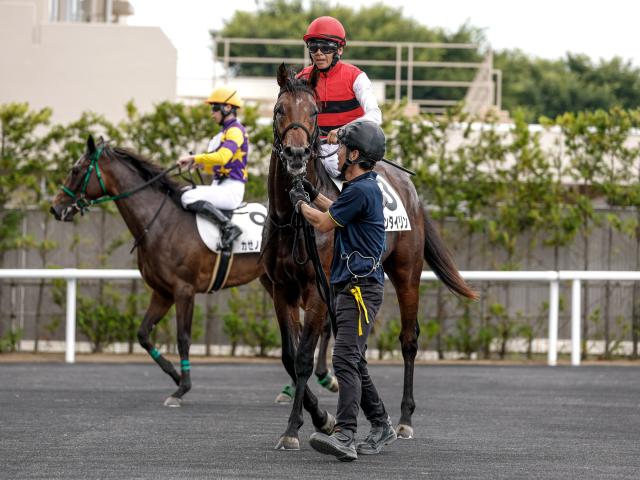 【メイクデビュー福島4Rレース後コメント】リネンタイリン柴田大知騎手ら