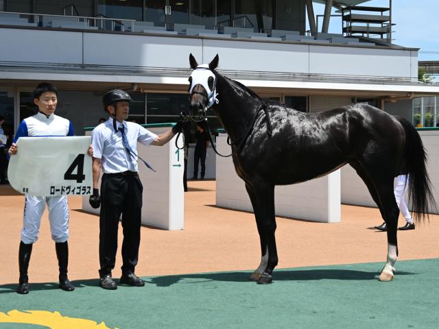【メイクデビュー小倉6Rレース後コメント】ロードヴィゴラス高杉吏麒騎手ら