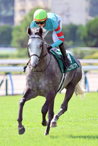 【北九州記念】ヤマニンアルリフラが3連勝で重賞初挑戦V　団野大成騎手は2年ぶりの勝利