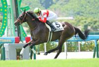 坂井瑠星騎手騎乗のダノンフェアレディが直線抜け出す