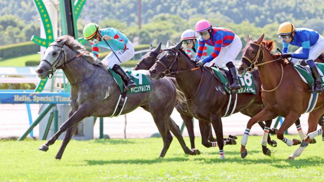 【北九州記念】ヤマニンアルリフラが3連勝で重賞初挑戦V　団野大成騎手「自信を持って乗り、展開も思った通り」