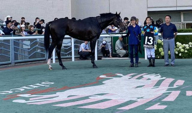 【ジュライS】シゲルショウグン5馬身差の圧逃V　田辺裕信「心肺能力が高い馬」