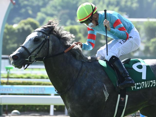 【北九州記念結果】ヤマニンアルリフラが3連勝で重賞初制覇！