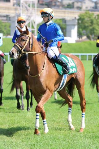 【北九州記念】3歳牝馬のアブキールベイは3着で重賞連勝ならず　坂井瑠星騎手「力を出し切ってくれました」