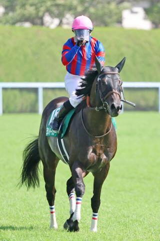 【北九州記念】7歳のヨシノイースターが2年連続の2着　58キロでの健闘に内田博幸騎手「力を見せてくれた」
