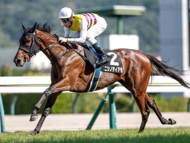 【白河特別レース後コメント】ニシノティアモ津村明秀騎手ら