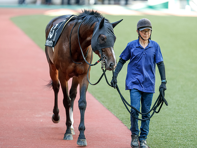 【ジュライSレース後コメント】シゲルショウグン田辺裕信騎手ら