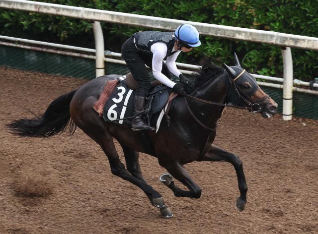 【北九州記念】3歳クラスペディア　自分の形に徹して17着　小崎「メンタルはキツかったと思います」