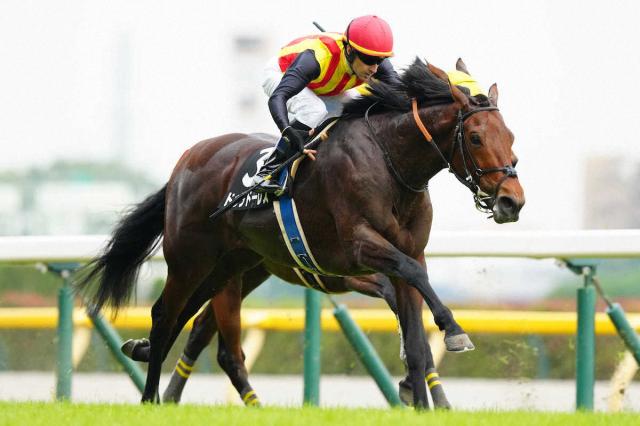 【七夕賞展望】毎年荒れるハンデ重賞!　ドゥラドーレスが中心