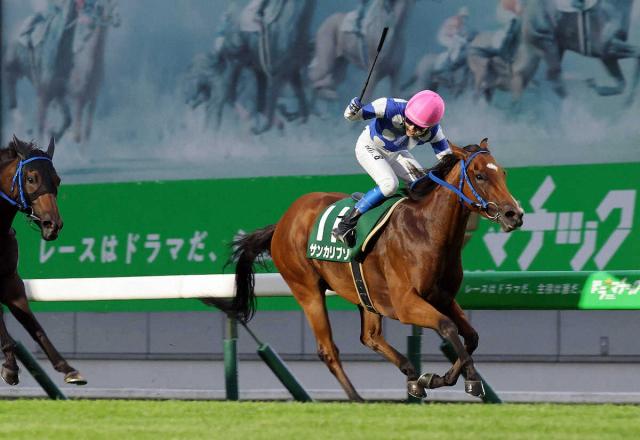 【盛岡競馬　サファイア賞】サンカリプソ重賞初制覇　鞍上の坂井瑛音は重賞初騎乗V