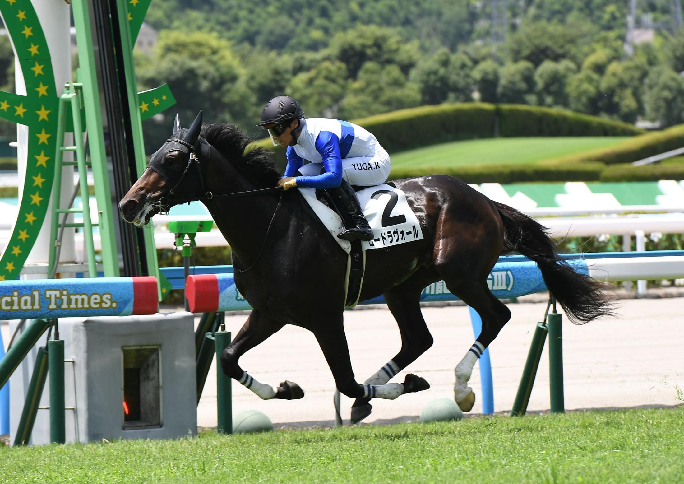 【新馬戦】ロードラヴォール　好位押し切り勝利　川田「性格がかなり難しい」