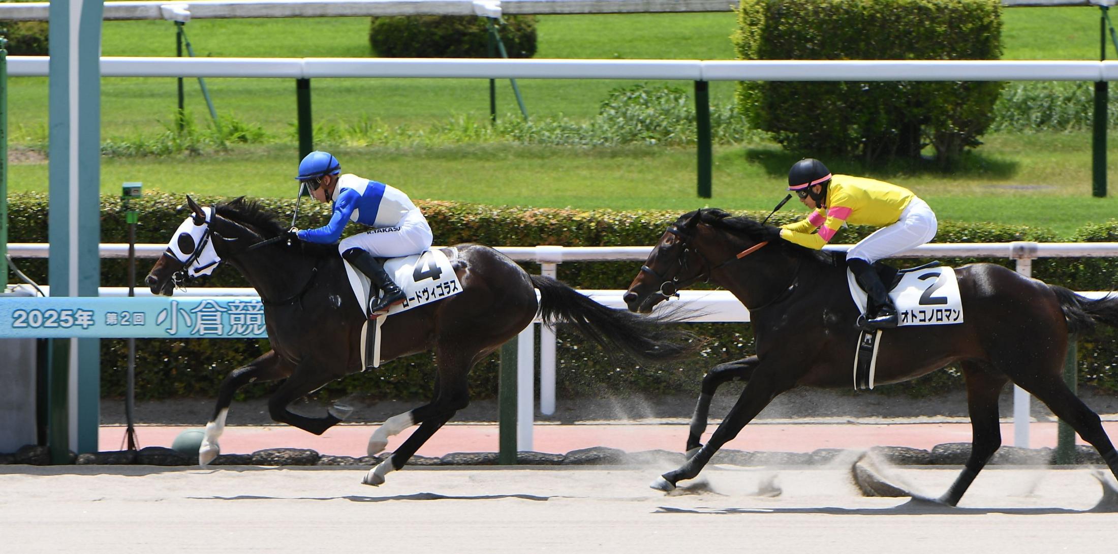 【新馬戦】ロードヴィゴラス　猛追封じてＶ発進　高杉「プレッシャーかかる形になるも、それもいい経験」