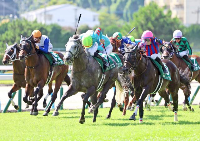 【北九州記念】1番人気連敗「16」で止めた!ダービー馬クロワデュノールの僚馬ヤマニンアルリフラが重賞初挑戦V