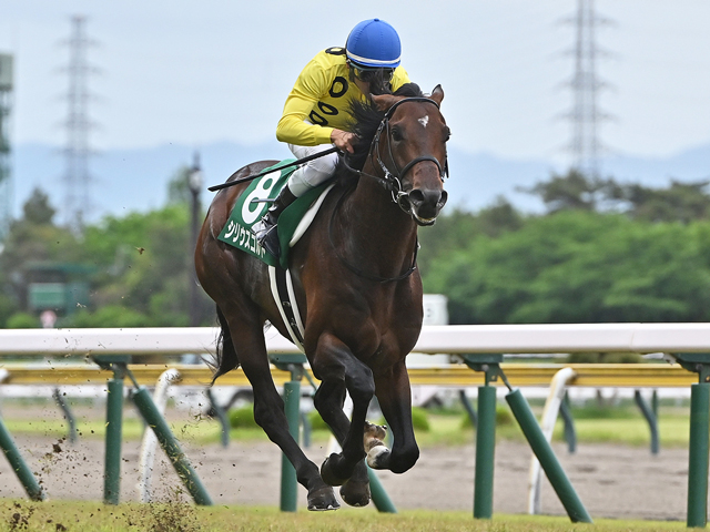 【七夕賞見どころ】シリウスコルトが重賞連勝を狙う