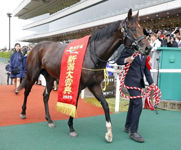 【七夕賞・浅子の特注馬】“持っている”田中勝春厩舎とシリウスコルトのコンビ　話題、実力の両方で主役に